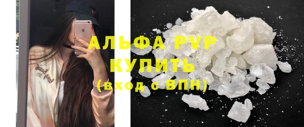крисы Богородицк