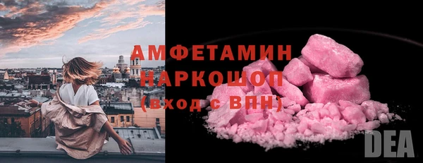 крисы Богородицк