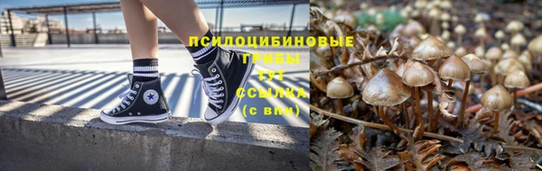 экстази Богданович