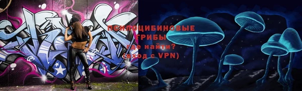 твердый Богородск