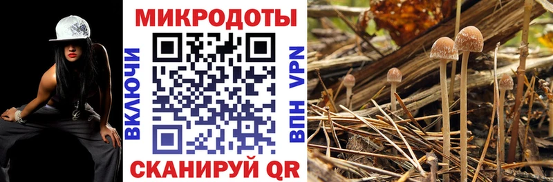 Галлюциногенные грибы Cubensis  Костерёво 